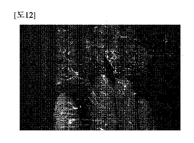 2020524386-イオン交換分離膜およびこれを含むフロー電池 図000023