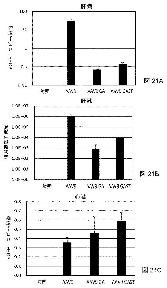 2021522827-アデノ随伴ウイルスの肝臓特異的向性 図000023