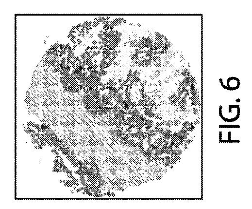 2021525361-空間マルチパラメータ細胞亜細胞画像データからの癌再発の予測 図000023