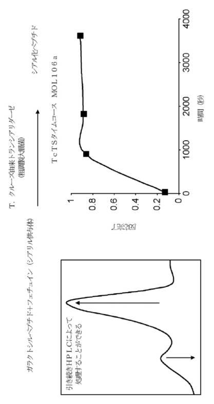 2021531763-細菌性膣炎の診断 図000023