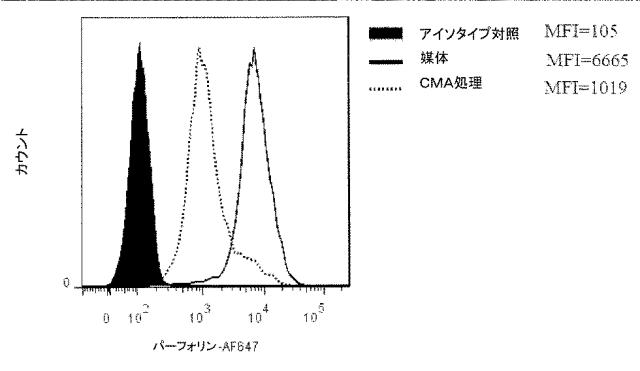 2018522592-細胞傷害性が増加した改変ナチュラルキラー細胞及びナチュラルキラー細胞株 図000024