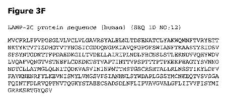 2019505588-ダノン病およびオートファジーの他の障害の治療のための方法 図000024