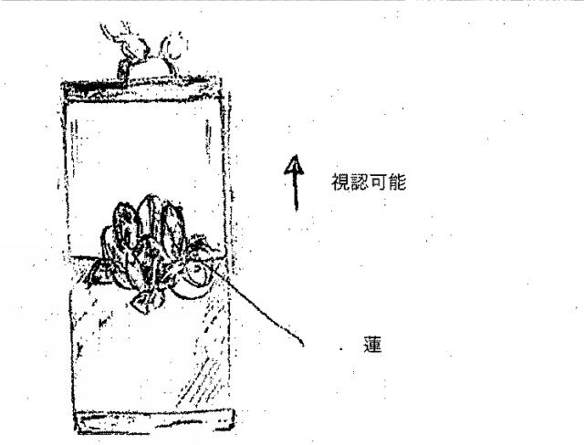 2019529023-動的流体宝飾品 図000024