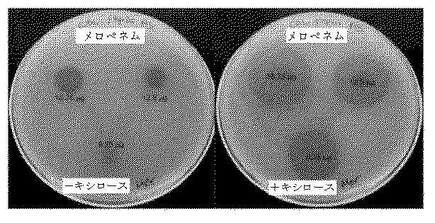 2018525434-抗細菌性薬剤併用物の組成物及び使用方法 図000025