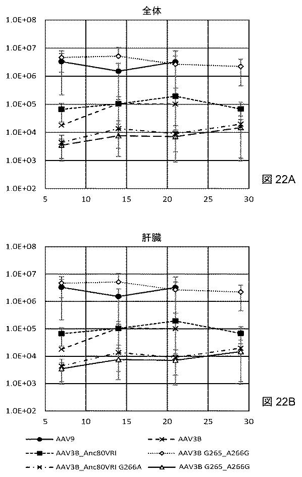 2021522827-アデノ随伴ウイルスの肝臓特異的向性 図000025