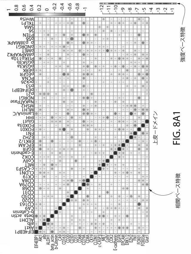 2021525361-空間マルチパラメータ細胞亜細胞画像データからの癌再発の予測 図000025