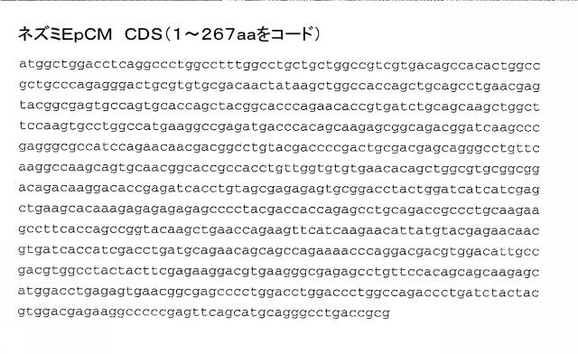 2015506954-抗原をトランスフェクトされたＴ細胞を伴う二重特異性抗体分子及び医薬におけるそれらの使用 図000026