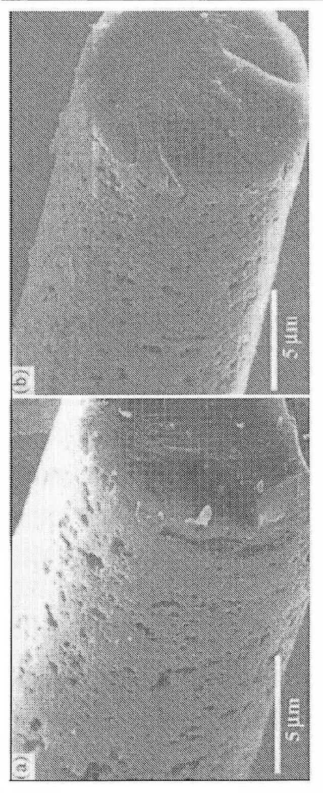 2015509152-高強度セラミック繊維および製造方法 図000026