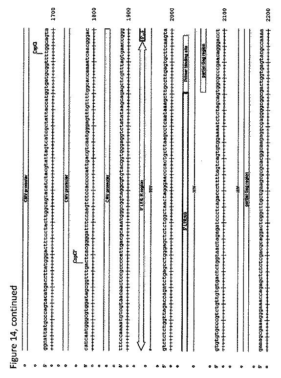 2018508230-異常ヘモグロビン症の予防及び治療のためのウイルスベクター 図000026