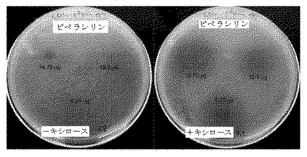 2018525434-抗細菌性薬剤併用物の組成物及び使用方法 図000026