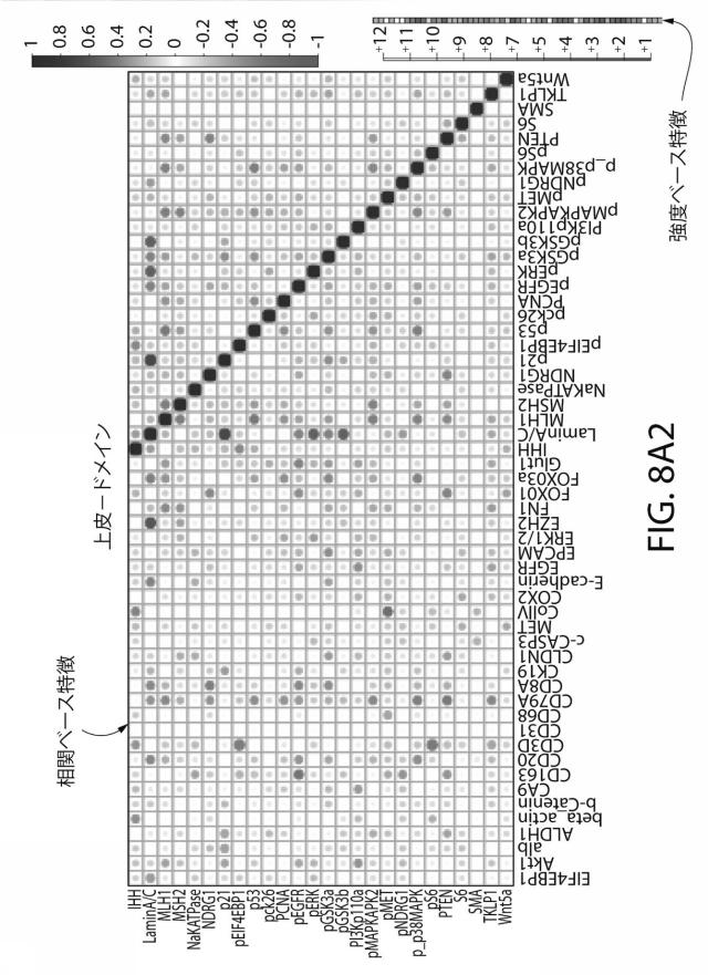 2021525361-空間マルチパラメータ細胞亜細胞画像データからの癌再発の予測 図000026