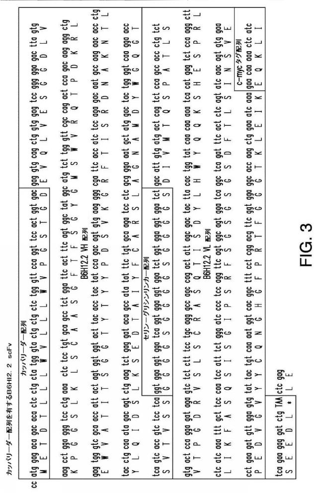 2016508728-免疫療法のための組成物および方法 図000027