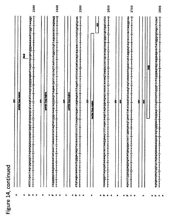 2018508230-異常ヘモグロビン症の予防及び治療のためのウイルスベクター 図000027