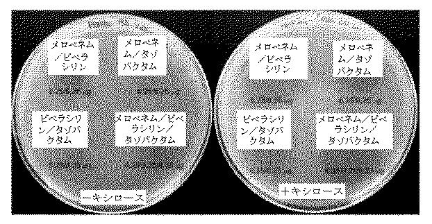 2018525434-抗細菌性薬剤併用物の組成物及び使用方法 図000027