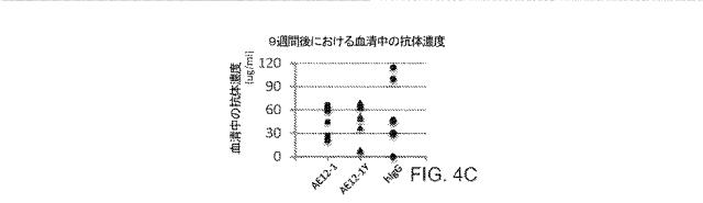 2019517480-脊髄損傷及び疼痛を処置するための抗ＲＧＭａ（Ｒｅｐｕｌｓｉｖｅ  Ｇｕｉｄａｎｃｅ  Ｍｏｌｅｃｕｌｅ  Ａ）アンタゴニスト抗体 図000027