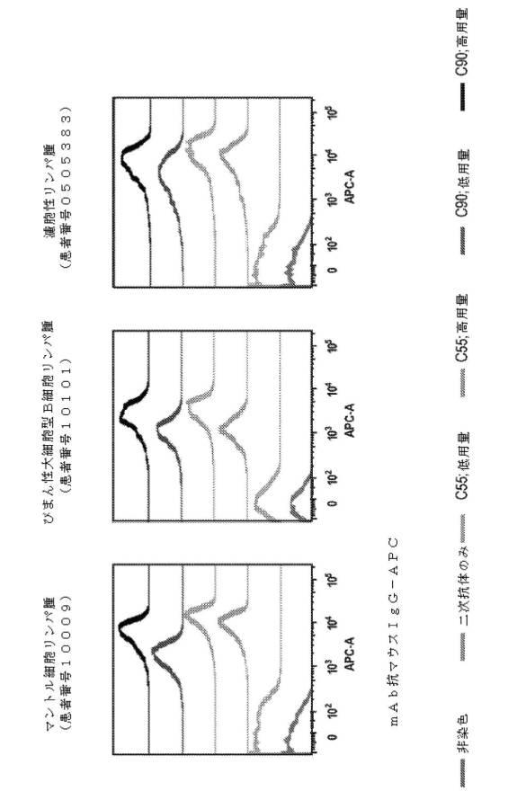 2019525768-ＢＡＦＦ−Ｒ抗体及びその使用 図000027