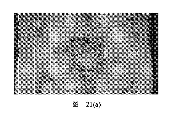 2020506452-ＨＭＤＳに基づく医学画像形成装置 図000027