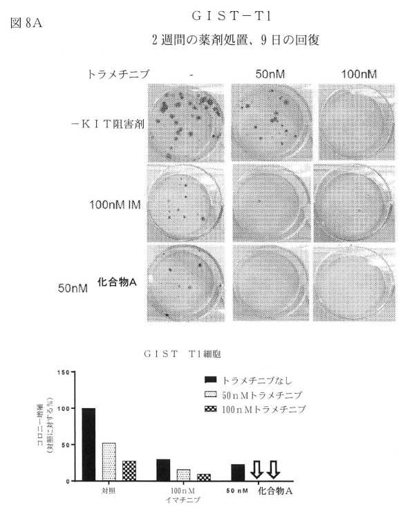 2021512105-消化管間質腫瘍の治療のための併用療法 図000027