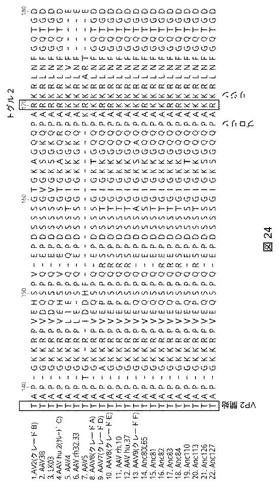 2021522827-アデノ随伴ウイルスの肝臓特異的向性 図000027