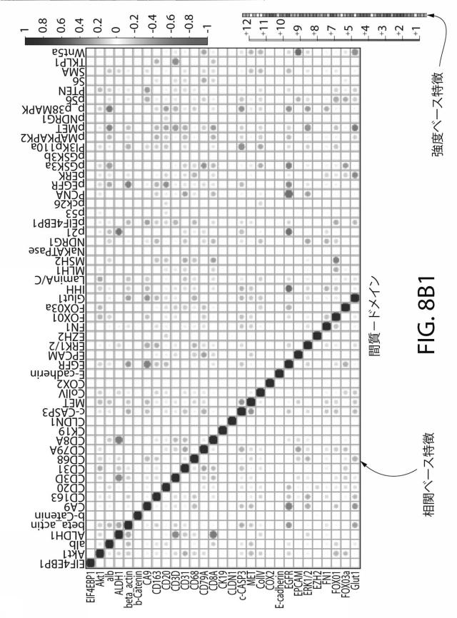 2021525361-空間マルチパラメータ細胞亜細胞画像データからの癌再発の予測 図000027