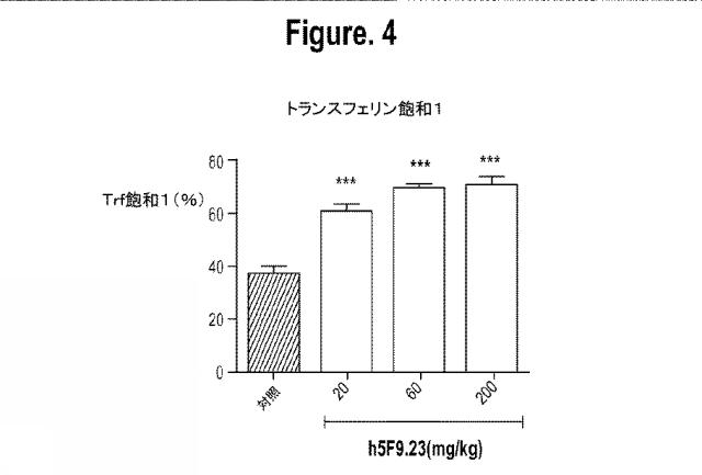 2015502753-鉄関連障害を診断および治療するための組成物および方法 図000028