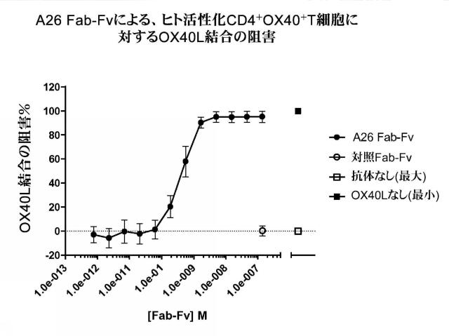 2015506910-ヒトＯＸ４０に対する特異性を有する抗体分子 図000028