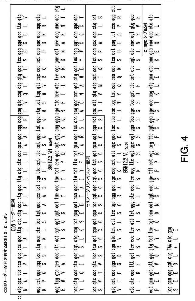 2016508728-免疫療法のための組成物および方法 図000028