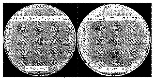 2018525434-抗細菌性薬剤併用物の組成物及び使用方法 図000028