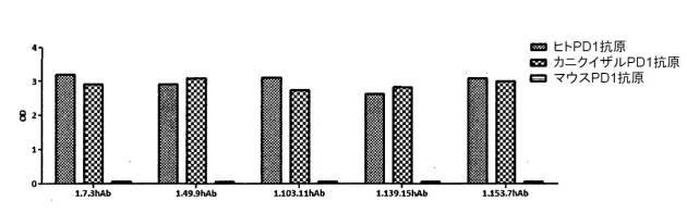 2018527950-新規抗ＰＤ−１抗体 図000028