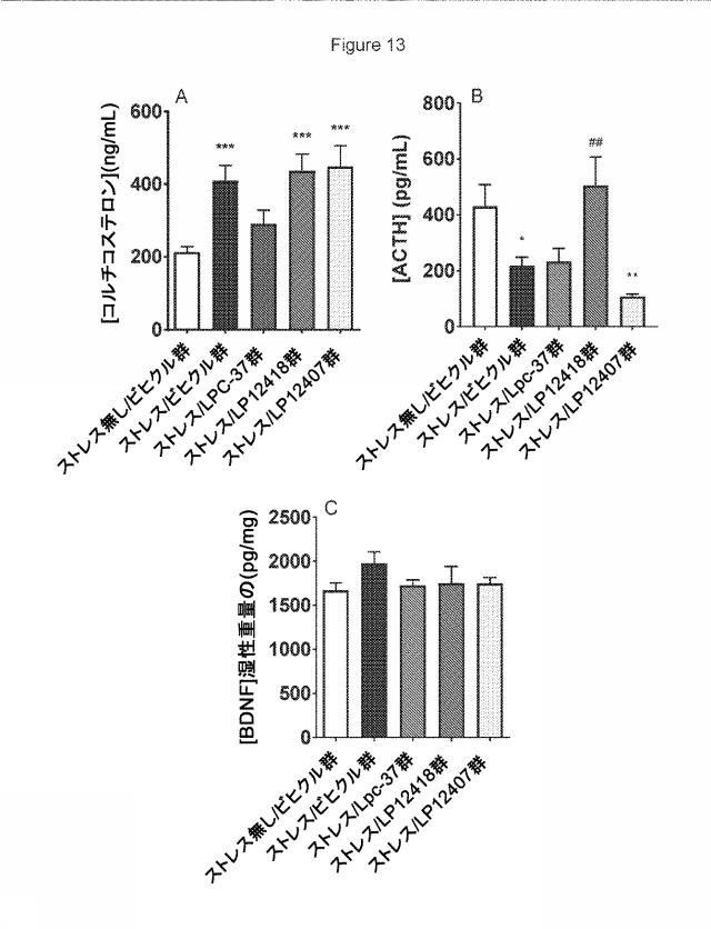 2021506302-精神疾患を予防及び／又は治療するためのラクトバチルス・プランタルム（Ｌａｃｔｏｂａｃｉｌｌｕｓ  ｐｌａｎｔａｒｕｍ）を含む組成物 図000028