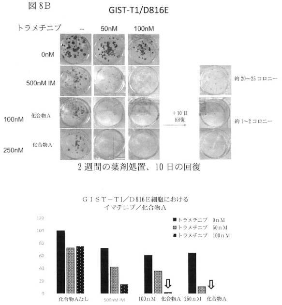 2021512105-消化管間質腫瘍の治療のための併用療法 図000028