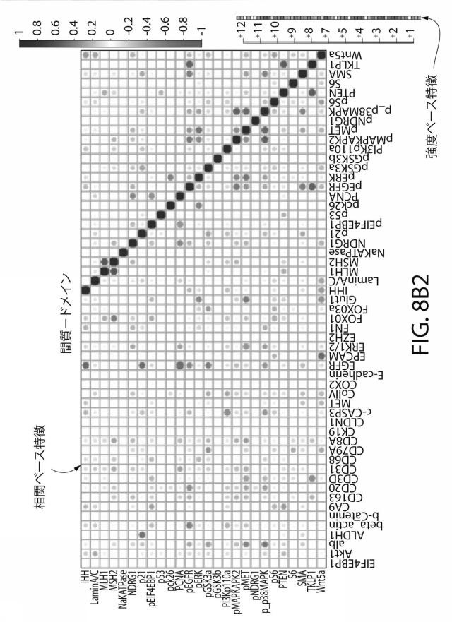 2021525361-空間マルチパラメータ細胞亜細胞画像データからの癌再発の予測 図000028