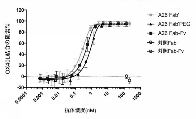 2015506910-ヒトＯＸ４０に対する特異性を有する抗体分子 図000029