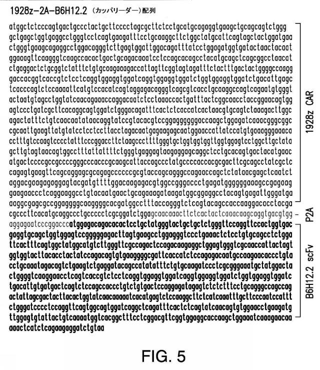2016508728-免疫療法のための組成物および方法 図000029