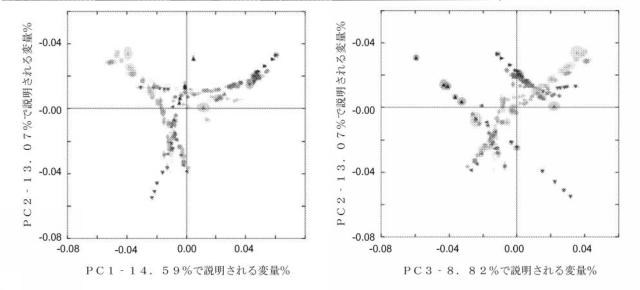 2016515388-結腸バクテリア集団を増加させてミネラル吸収を増加させるための、可溶性コーンファイバーの用途 図000029