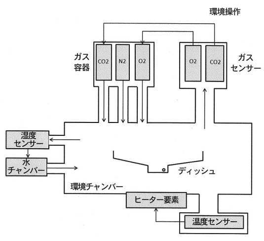 2018508234-生物学的試料を動的に培養するための方法および装置 図000029