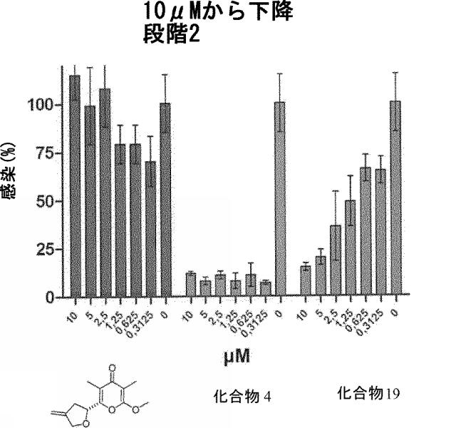 2018510913-抗ウイルス剤としての使用のためのピロン誘導体 図000029