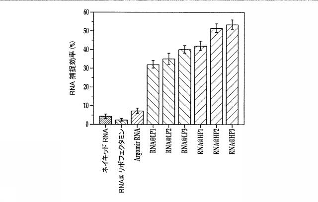 2018517005-超分岐重合体及びポリプレックス、並びにこれらを含むＤＮＡ又はＲＮＡ送達システム 図000029