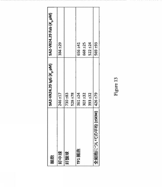 2019500859-ＣＤ１３１結合タンパク質とその利用 図000029