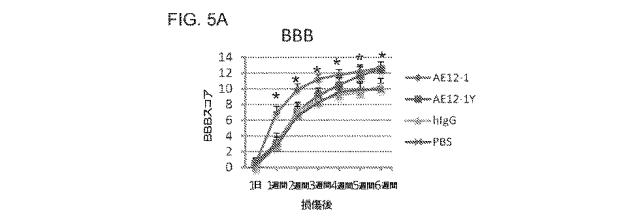 2019517480-脊髄損傷及び疼痛を処置するための抗ＲＧＭａ（Ｒｅｐｕｌｓｉｖｅ  Ｇｕｉｄａｎｃｅ  Ｍｏｌｅｃｕｌｅ  Ａ）アンタゴニスト抗体 図000029