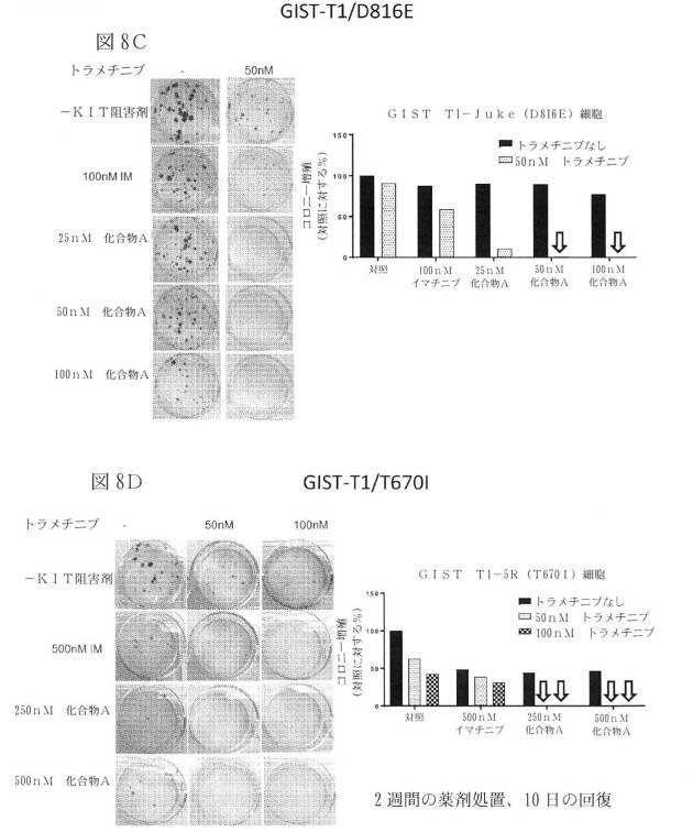 2021512105-消化管間質腫瘍の治療のための併用療法 図000029
