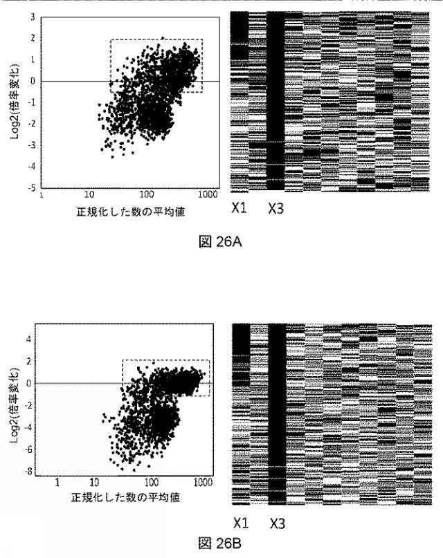 2021522827-アデノ随伴ウイルスの肝臓特異的向性 図000029