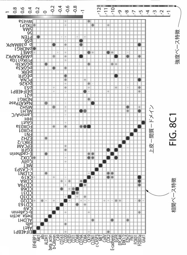 2021525361-空間マルチパラメータ細胞亜細胞画像データからの癌再発の予測 図000029