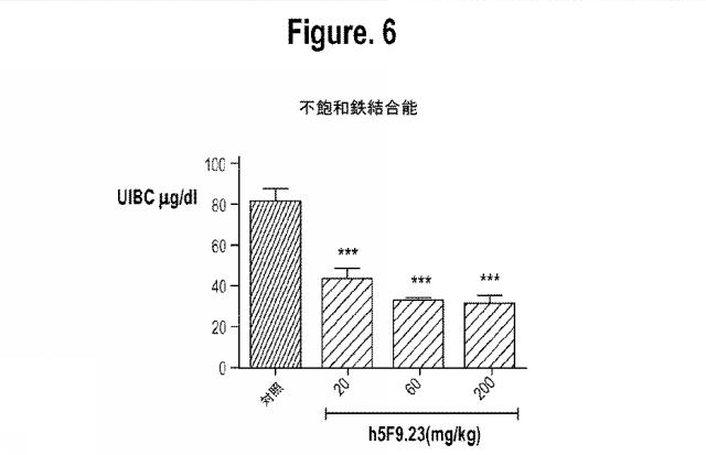 2015502753-鉄関連障害を診断および治療するための組成物および方法 図000030