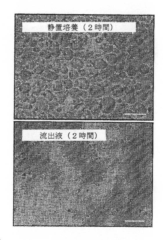 2016510212-バイオミメティック流体プロセスの系および方法 図000030