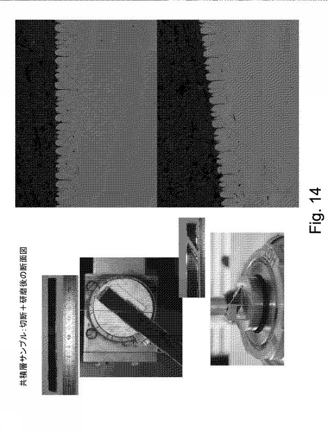 2018524182-光電子収率および／または二次電子収率を低減する方法および装置 図000030