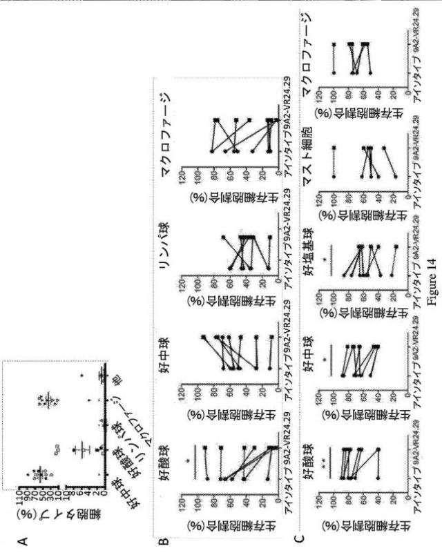 2019500859-ＣＤ１３１結合タンパク質とその利用 図000030