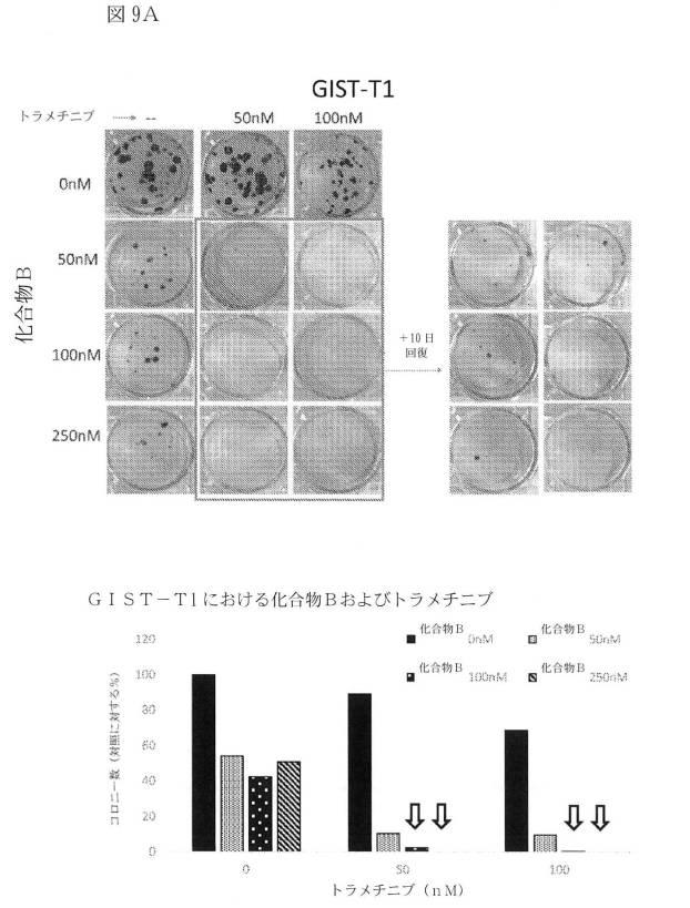 2021512105-消化管間質腫瘍の治療のための併用療法 図000030