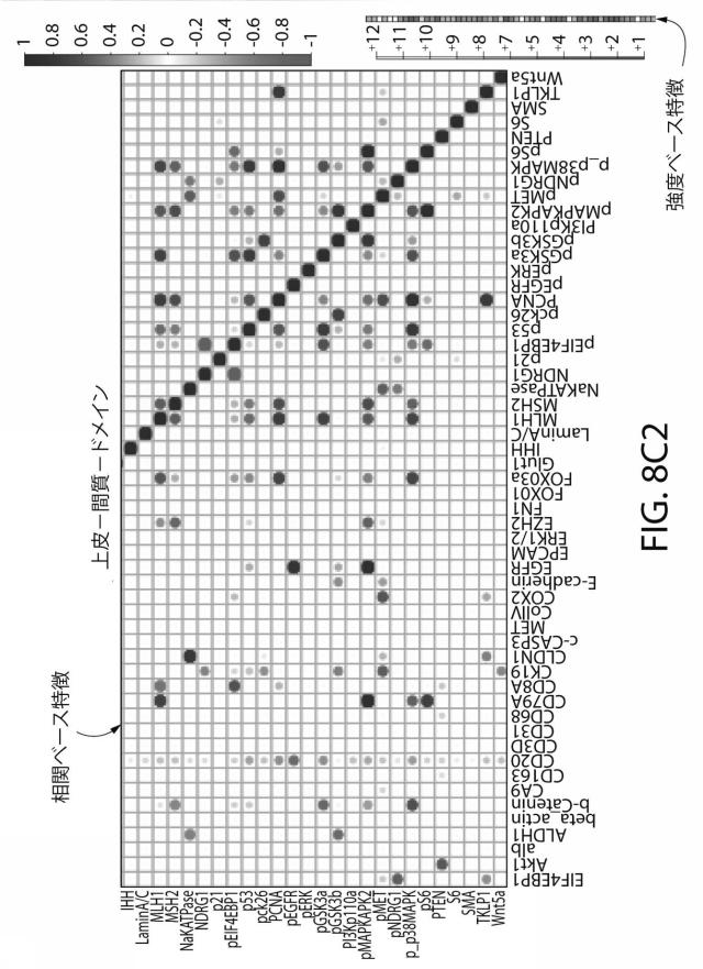 2021525361-空間マルチパラメータ細胞亜細胞画像データからの癌再発の予測 図000030