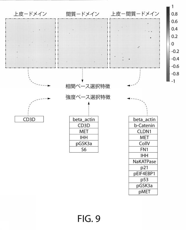 2021525361-空間マルチパラメータ細胞亜細胞画像データからの癌再発の予測 図000031